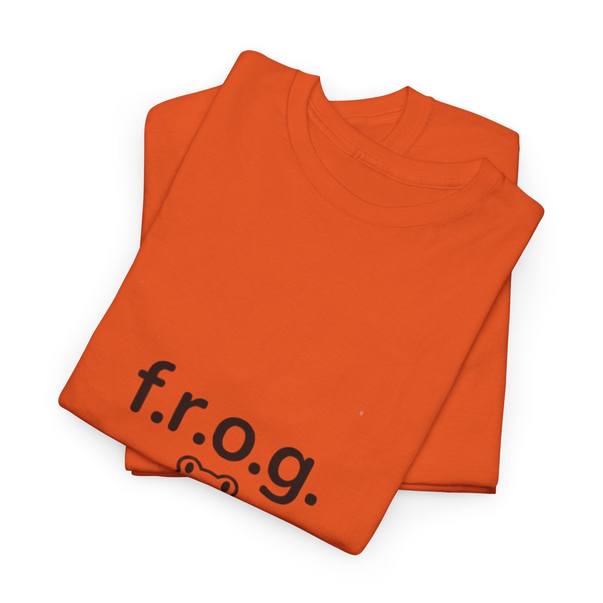 Fully Rely On God (F.R.O.G.) T-Shirt — Cute Frog Faith Tee